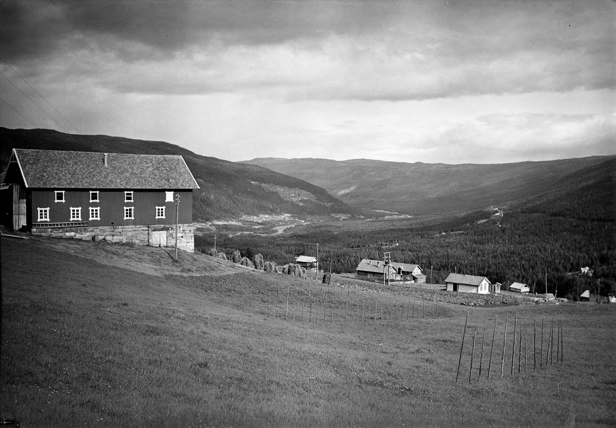 Anders Beer Wilse, Prot: Kvisla gården