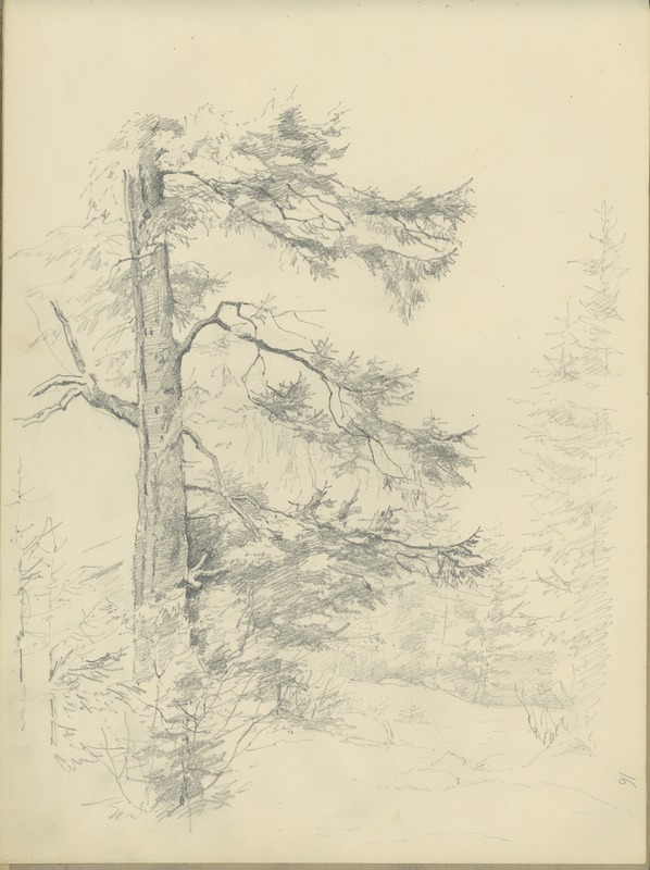 Anna von (autor) Krüdener, Metsamaastik männiga (leht joonistusplokist)