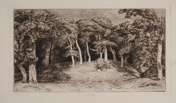 Niels Skovgaard, Hestehaven