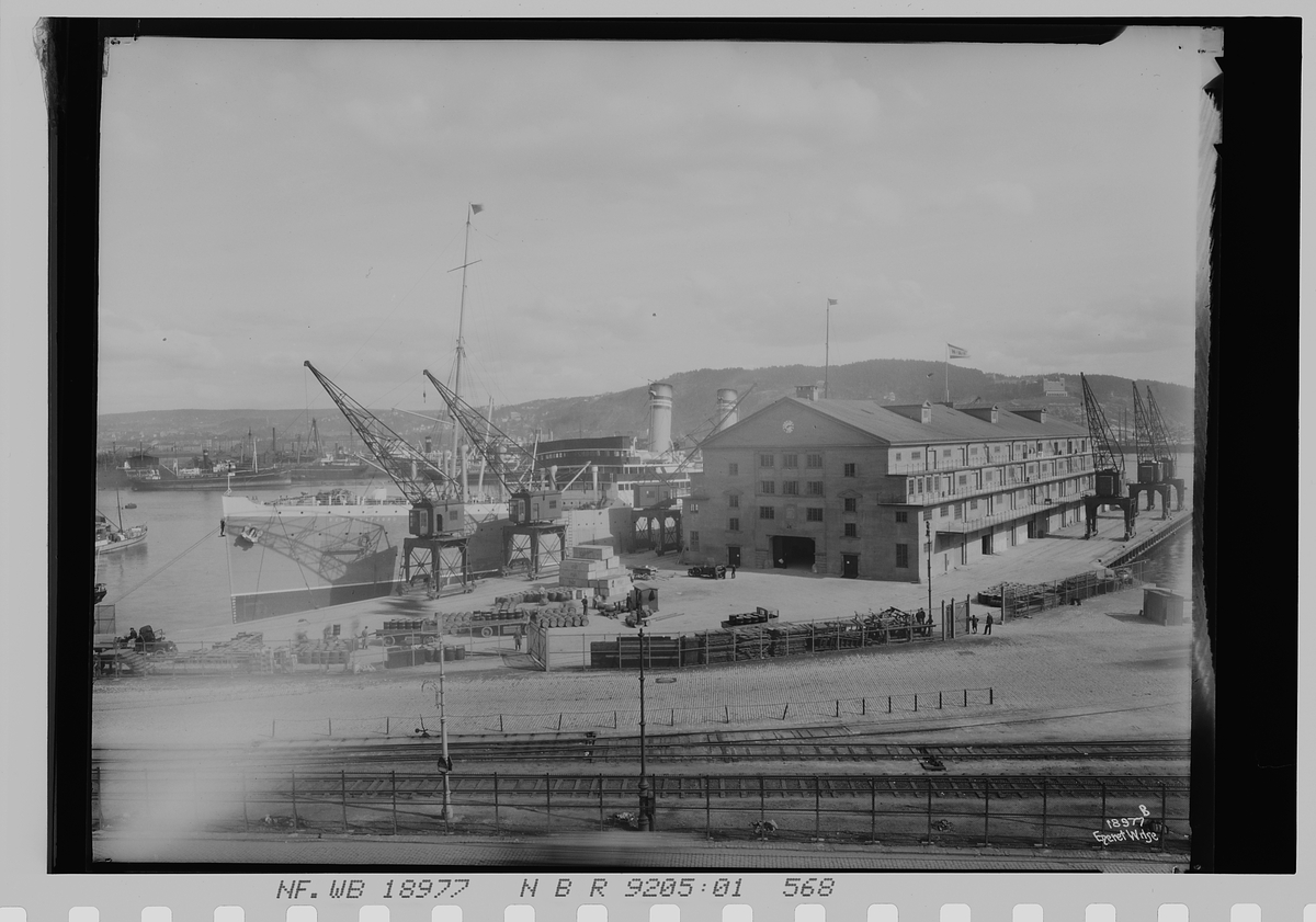 Anders Beer Wilse, Prot: Amerikalinjens varehus