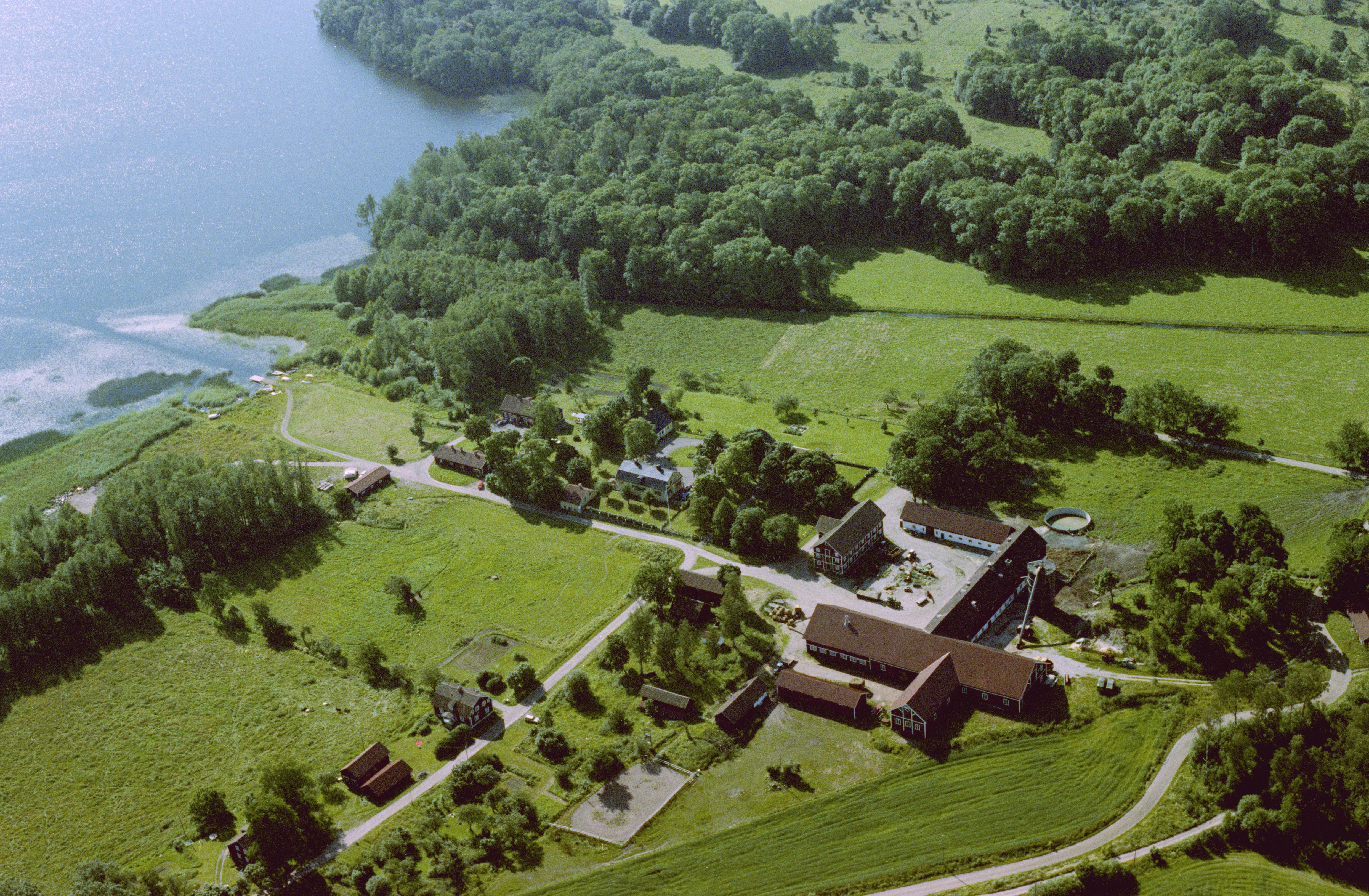 Jan Norrman, Lohärad 63:1