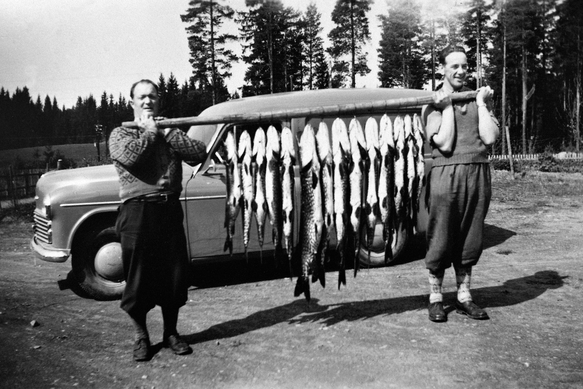 Anno Domkirkeodden, Kåre Sjøli og Polmar Åsrønningen med gjeddefangst etter fiske i Åkersvika, Mjøsa, mjøsfiske, ca.1955.