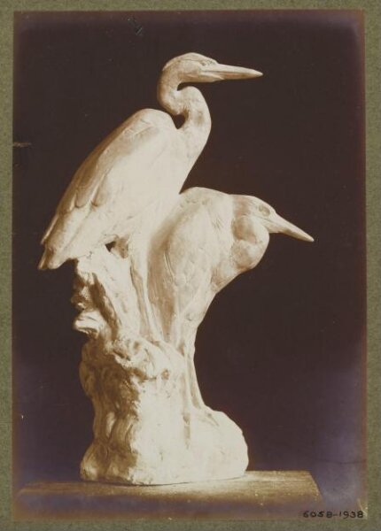 unknown, Photograph