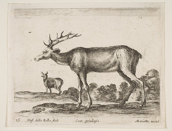 Stefano della Bella, Stag, plate 16 from "Various Animals" (Diversi Animali)