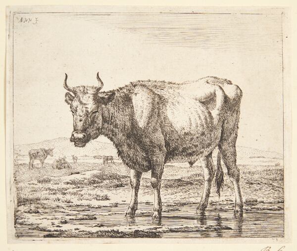 Adriaen van de Velde, Tyr stående i vand