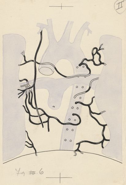 J Tinkelenberg, Part of the heart and circulatory system