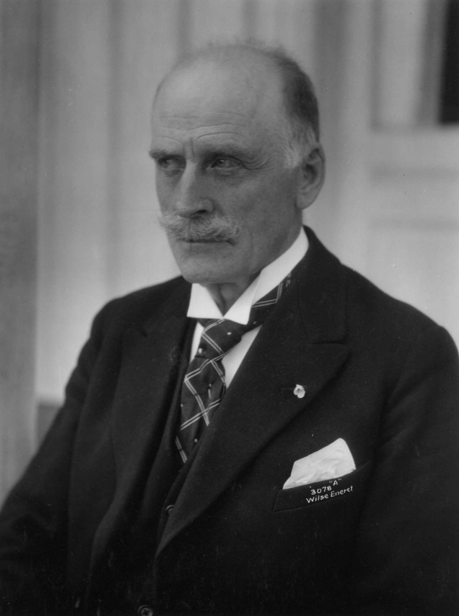 Anders Beer Wilse, Hamsun