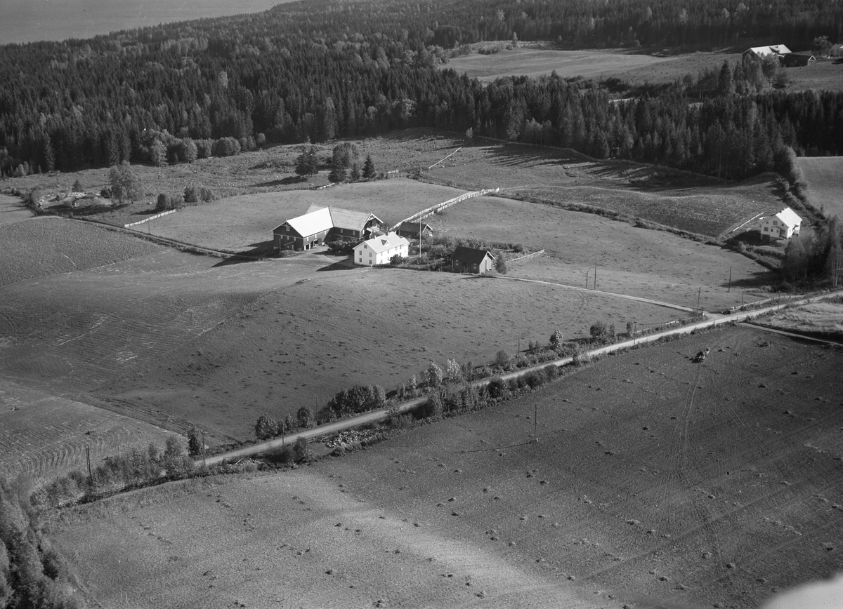 Anno Domkirkeodden, Flyfoto, gardsbruk, Haug øvre, Nes, Hedmark.