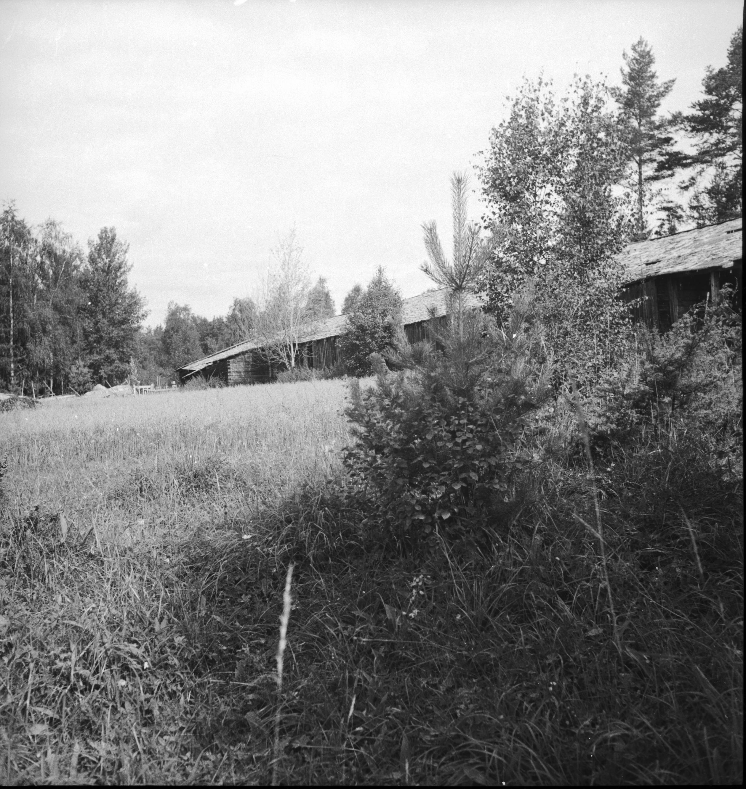 Per Olof Westlund, Borgsjö kyrka