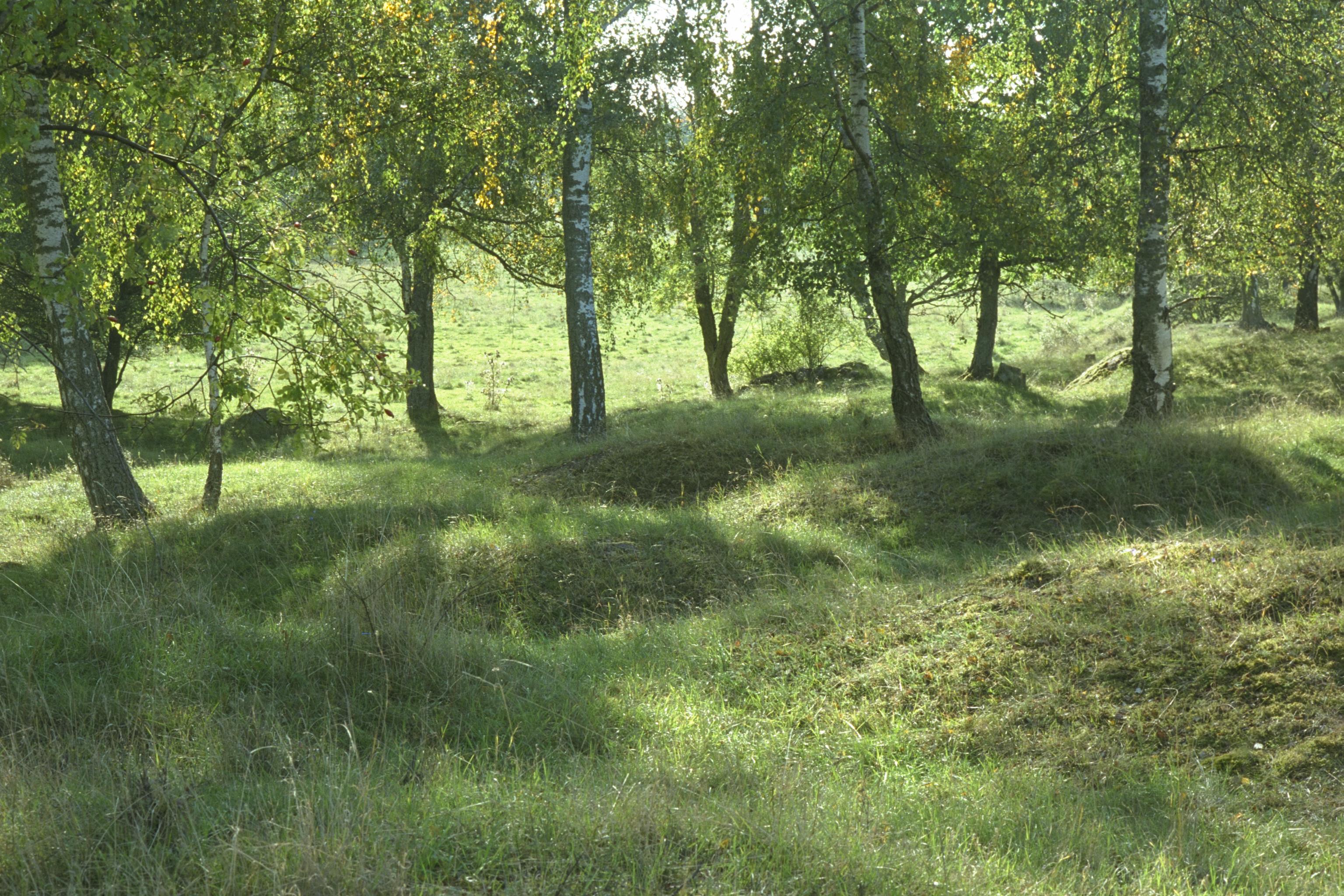Bengt A Lundberg, Björkö-Birka