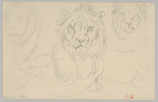 Eugène Delacroix, A Lion, Full Face, August 30, 1841