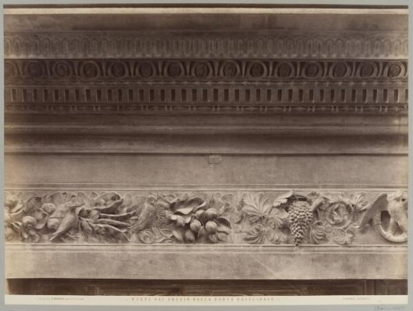Fratelli Alinari, Photograph