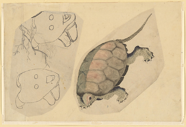 Katsushika Hokusai, Two Sketches: One of a Turtle, the Other of Two Unidentified Objects