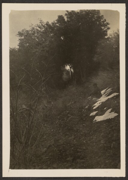 Louis Fleckenstein, [Landscape]