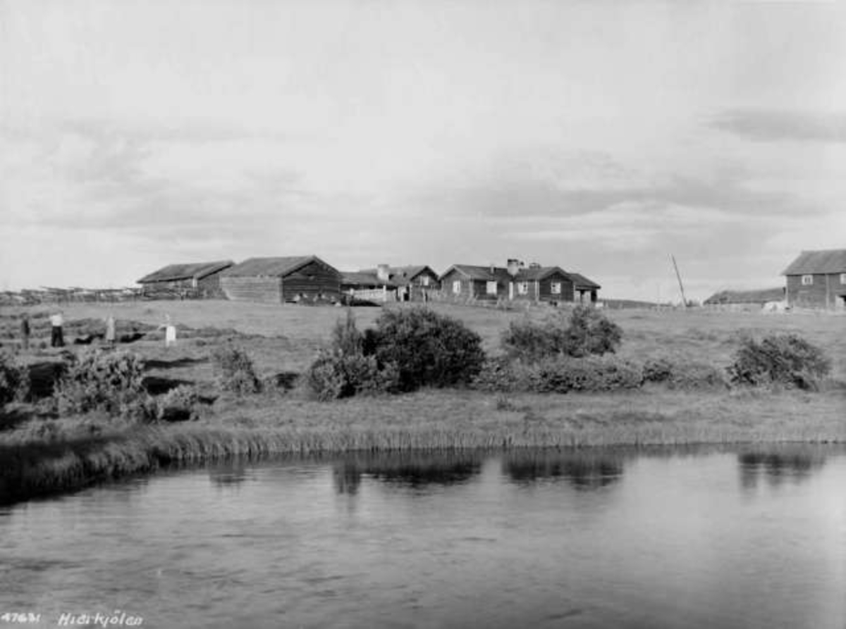 Anders Beer Wilse, -8010