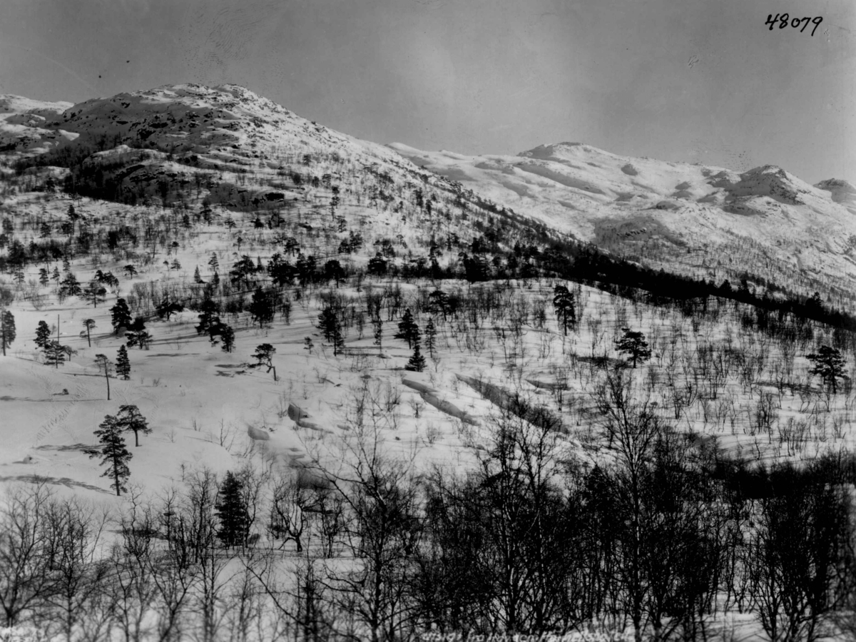 Anders Beer Wilse, Landskap, sno, Hovden.