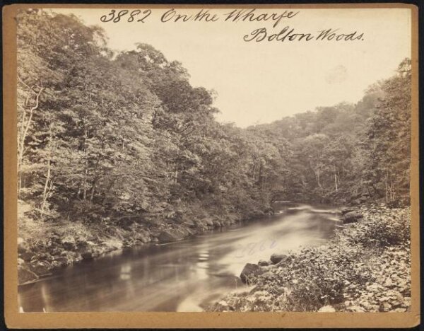 Francis Frith, On the Wharfe.  Bolton Woods