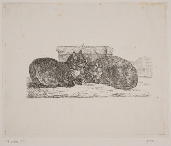 Christian David Gebauer, To katte