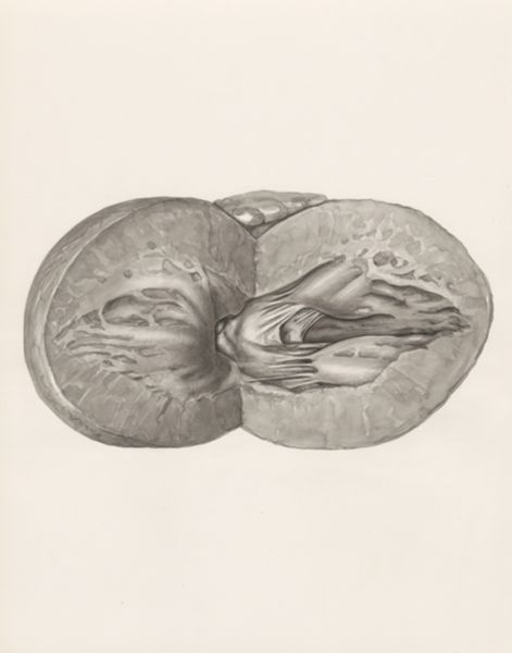 H.G Wetselaar, Heart