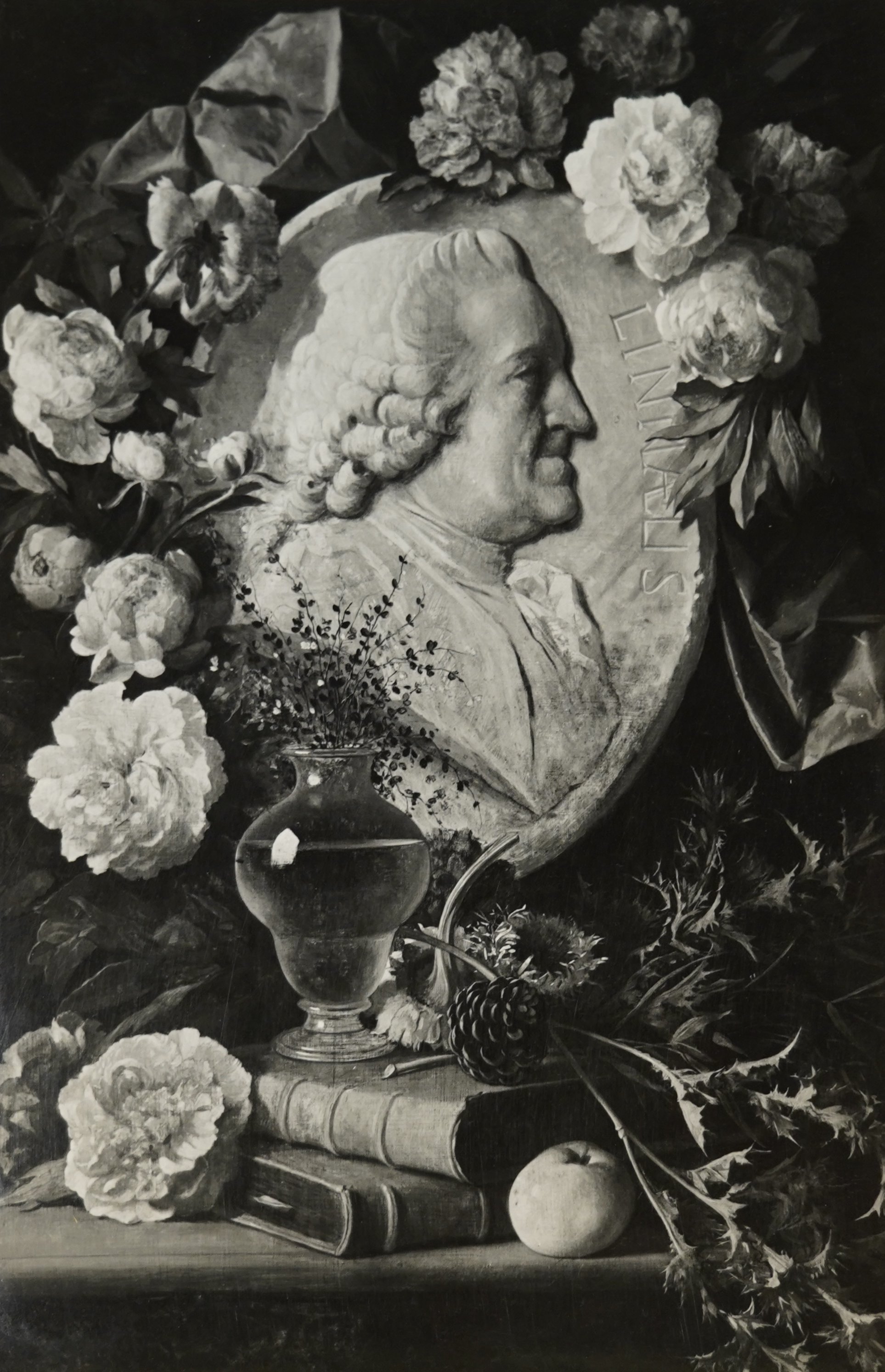 Unknown artist, Fotoreproduktion eines Gemäldes mit Reliefporträts von Carl von Linné