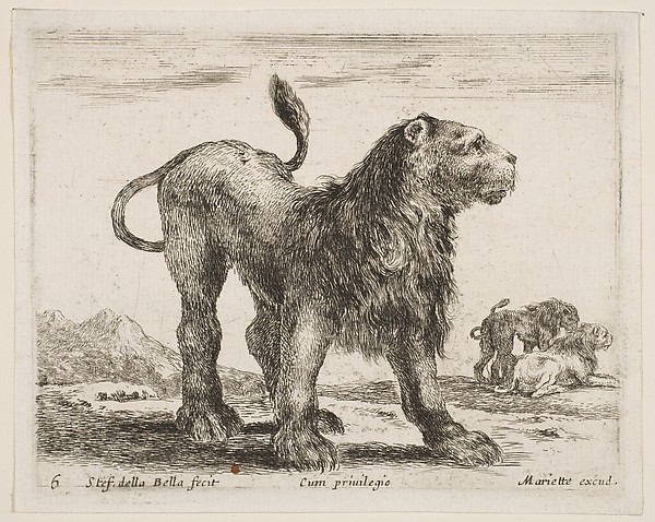 Stefano della Bella, Lion, plate 6 from "Various Animals" (Diversi Animali)