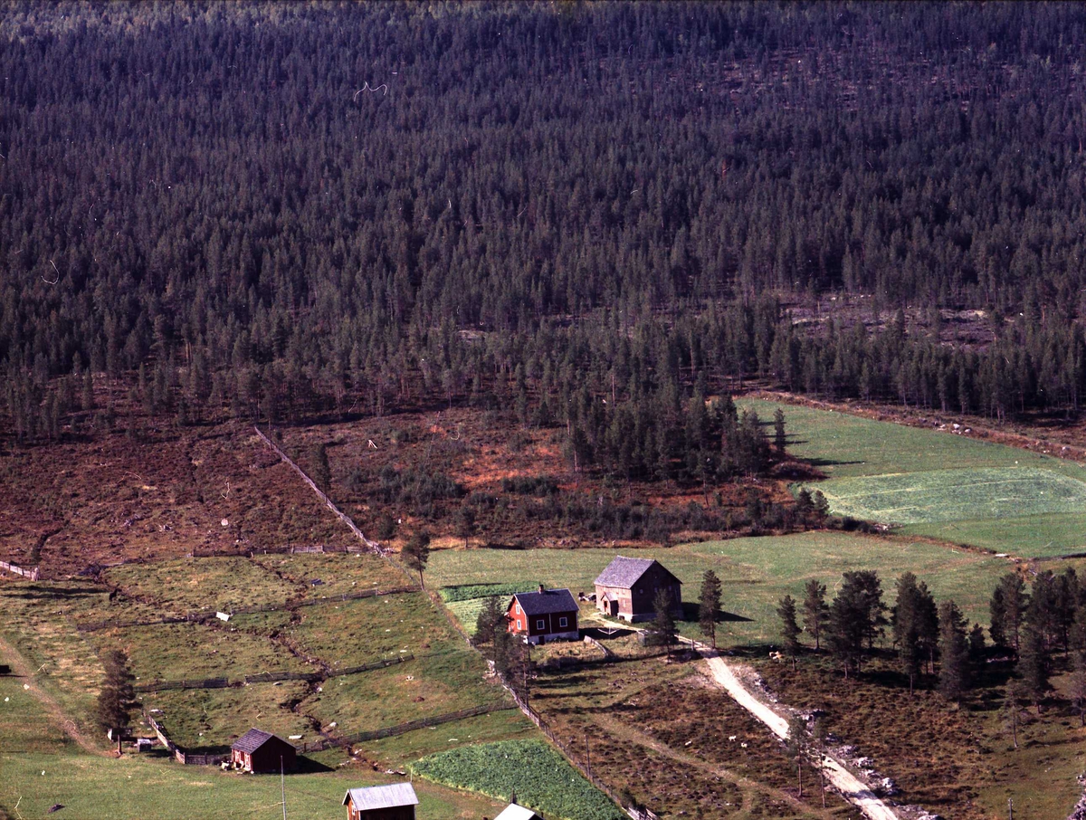Widerøes Flyveselskap A/S, Gårdsbruk.