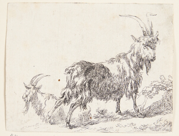 Nicolaes Berchem, En stående og en liggende ged