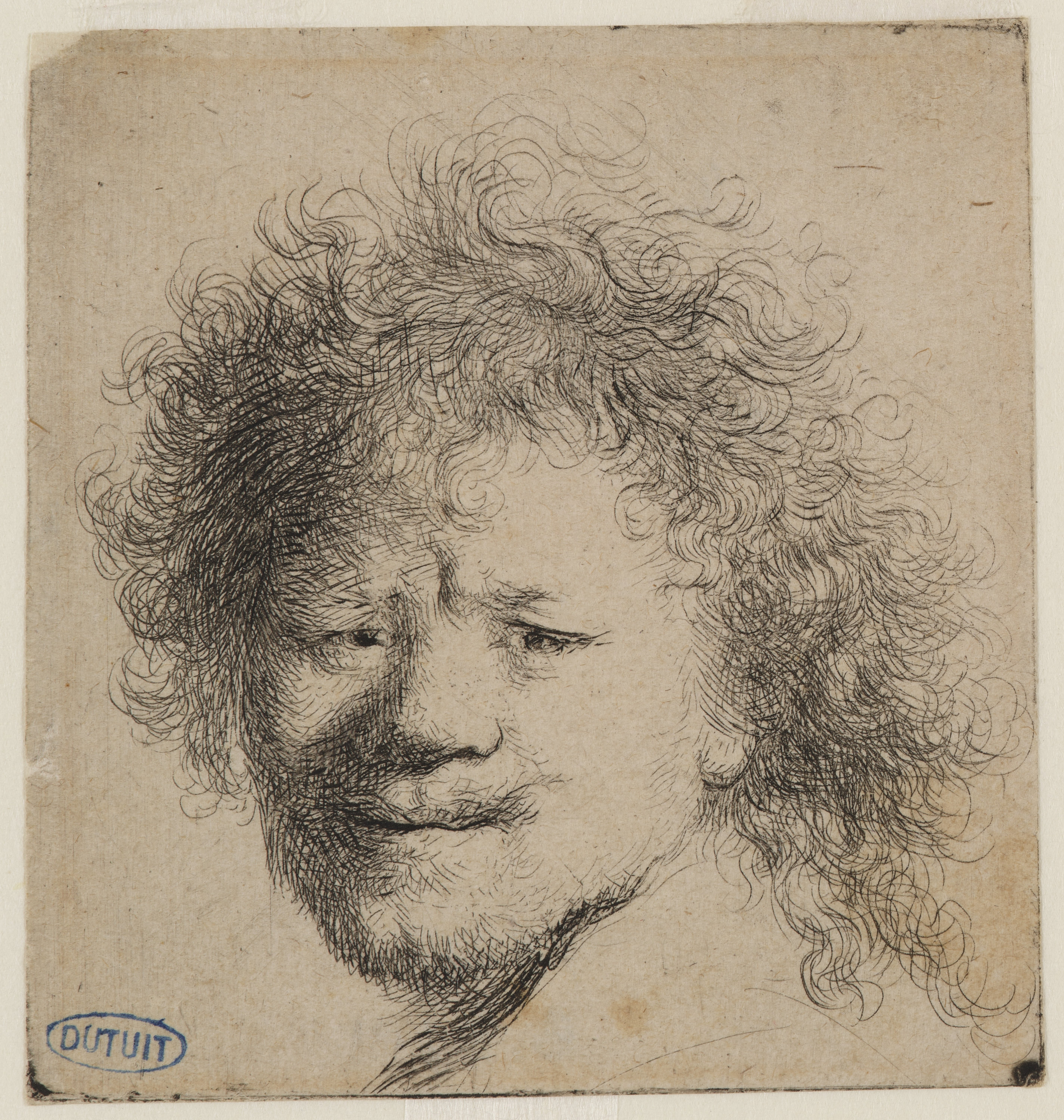 Rembrandt, Rembrandt aux cheveux hérissés (Bartsch 8)