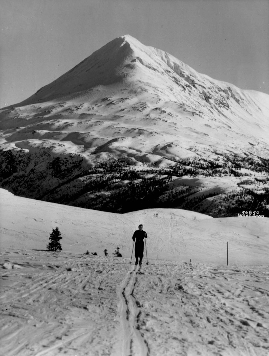 Anders Beer Wilse, Landskap ved Gaustatoppen med skiløper. Snødekte fjell.