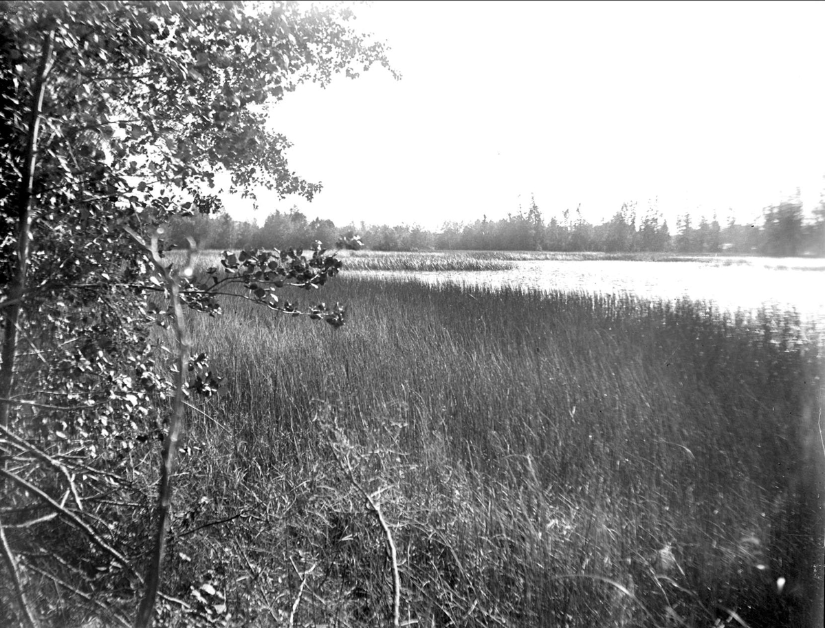 August Fredrik Schagerström, Karmdammen, Dannemora socken, Uppland augusti 1933