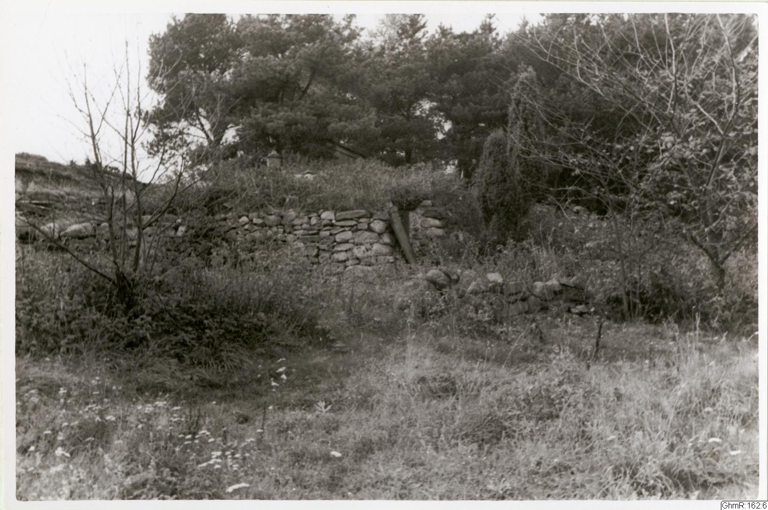 Otto Thulin, bilder, påsiktsbild, fotografi