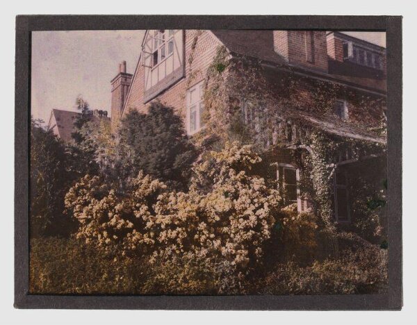 Unknown, Garden study