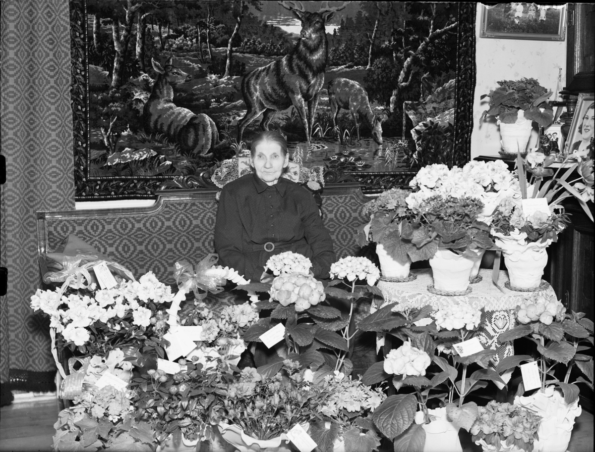 Skötsner-Edhlund, Kvinna i hemmiljö omgiven av blommor, Östhammar, Uppland,