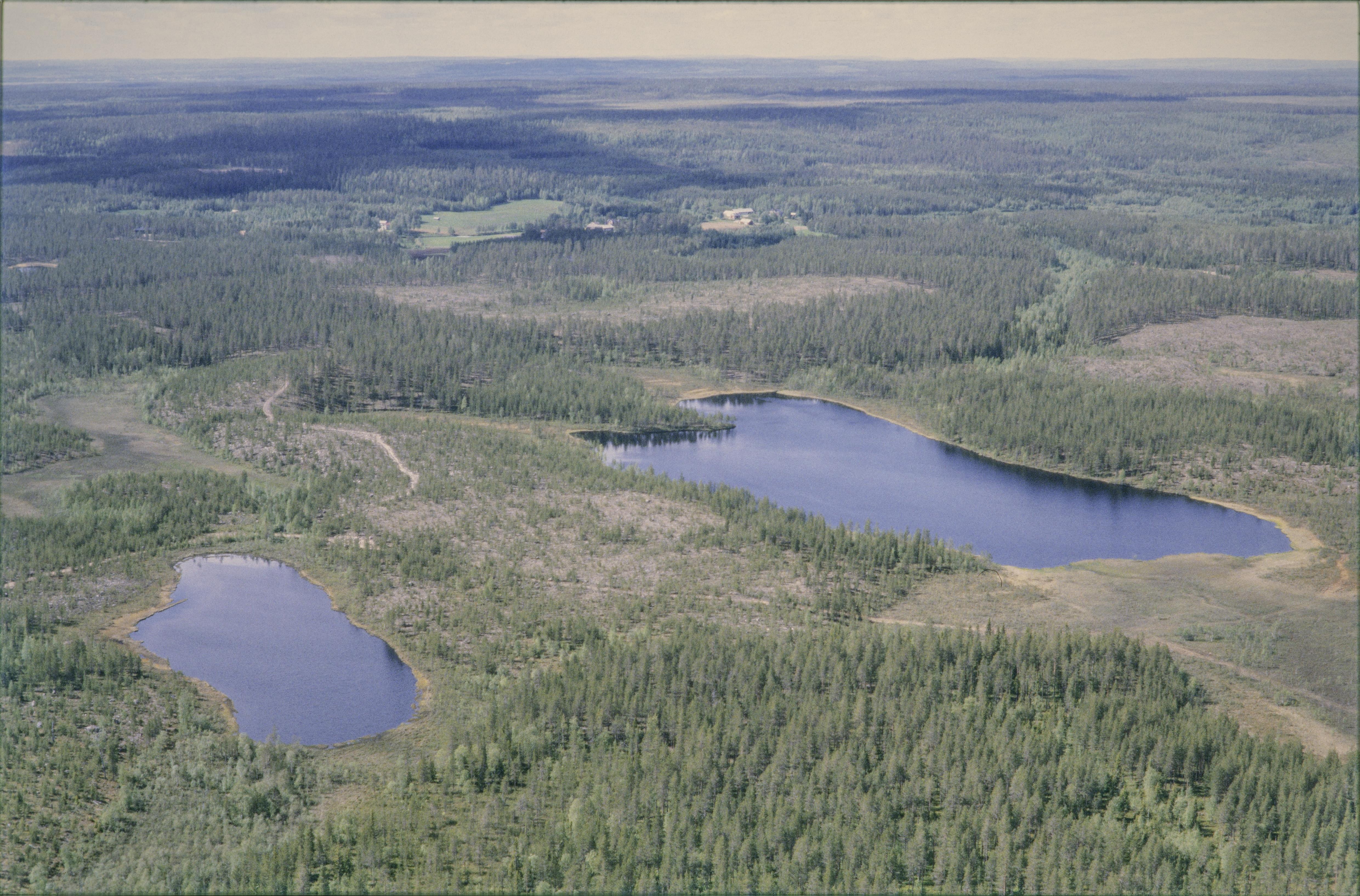 Jan Norrman, Töre 391:1