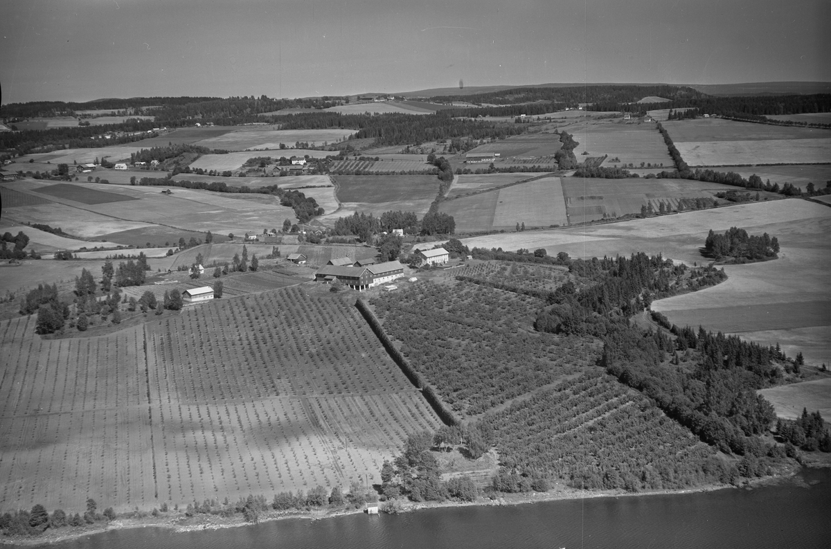 Anno Domkirkeodden, Flyfoto, gardsbruk, hage, frukttrær, Fossum, Nes, Hedmark.