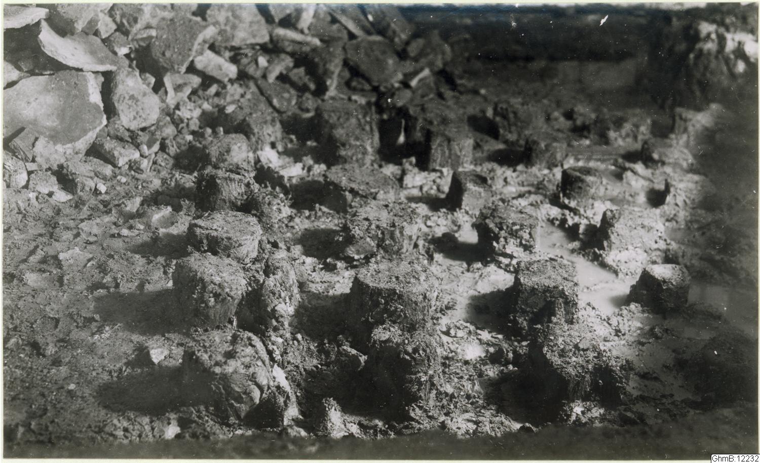Artur Lindskog, fotografi, bilder, påsiktsbild