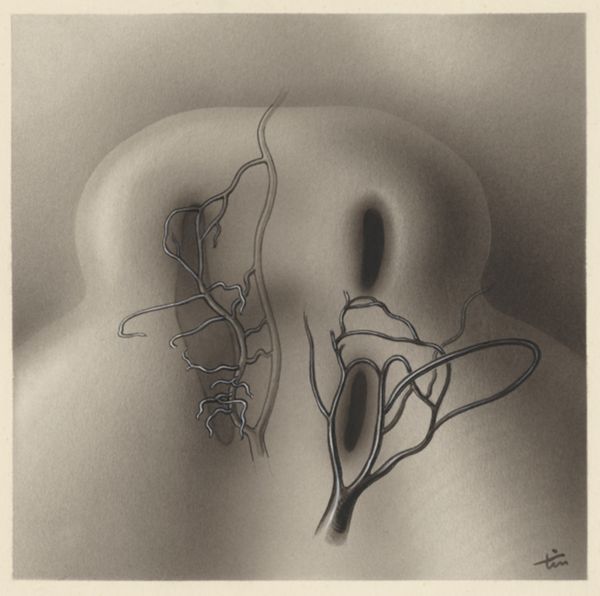 J Tinkelenberg, Cardiovascular system of an embryo