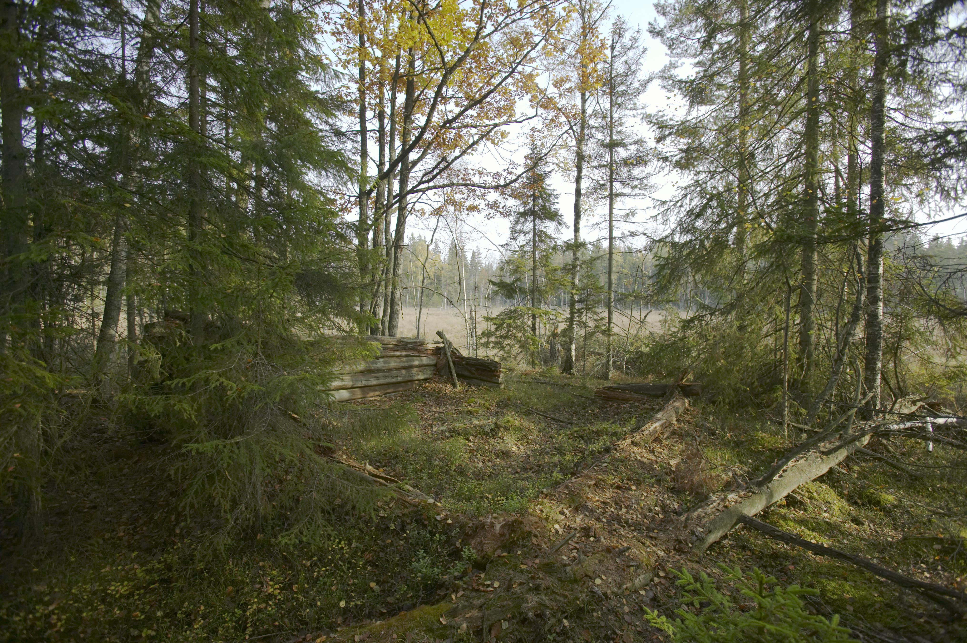 Bengt A Lundberg, Bockaskruv