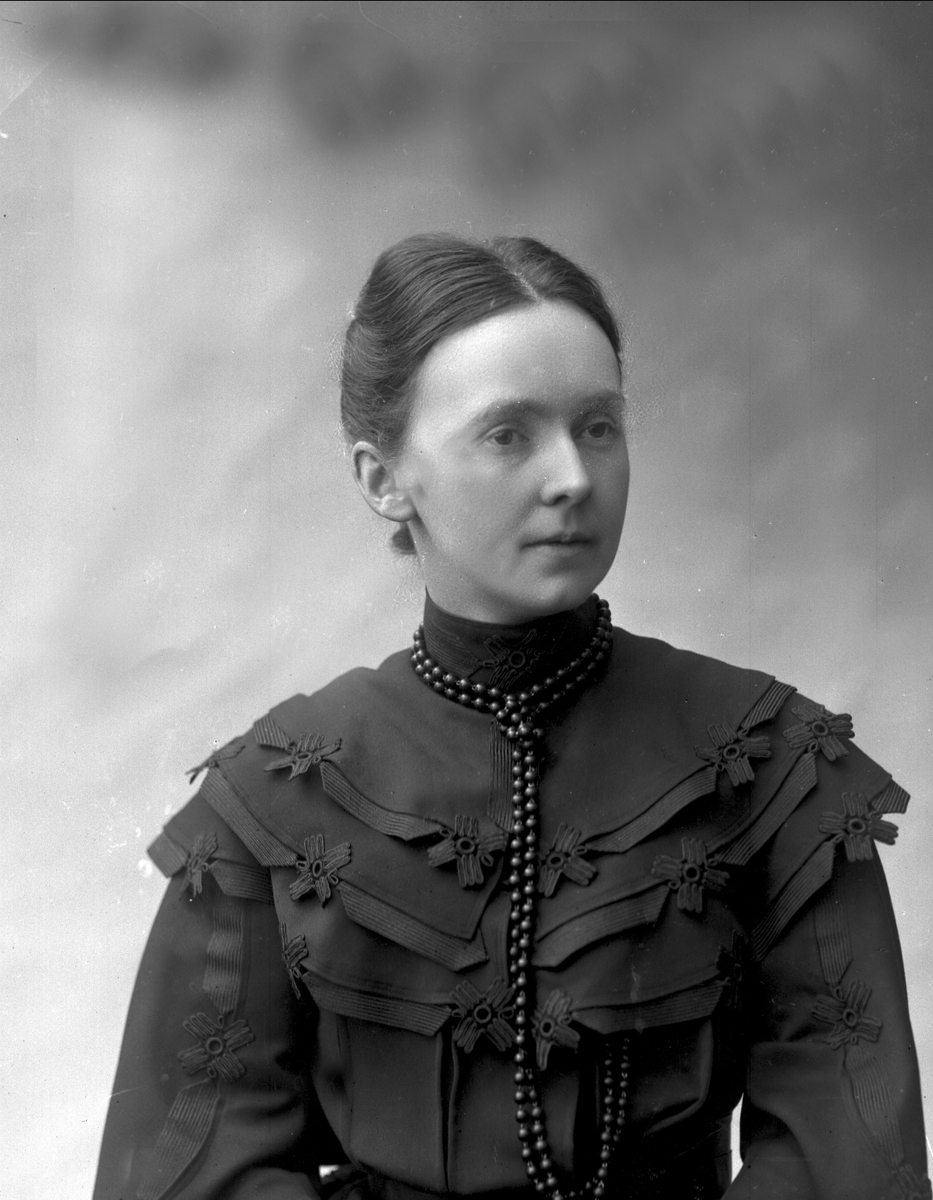 Gustav Borgen, NFB.25414