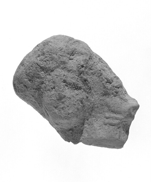 Unknown, Tarantine Head Fragment