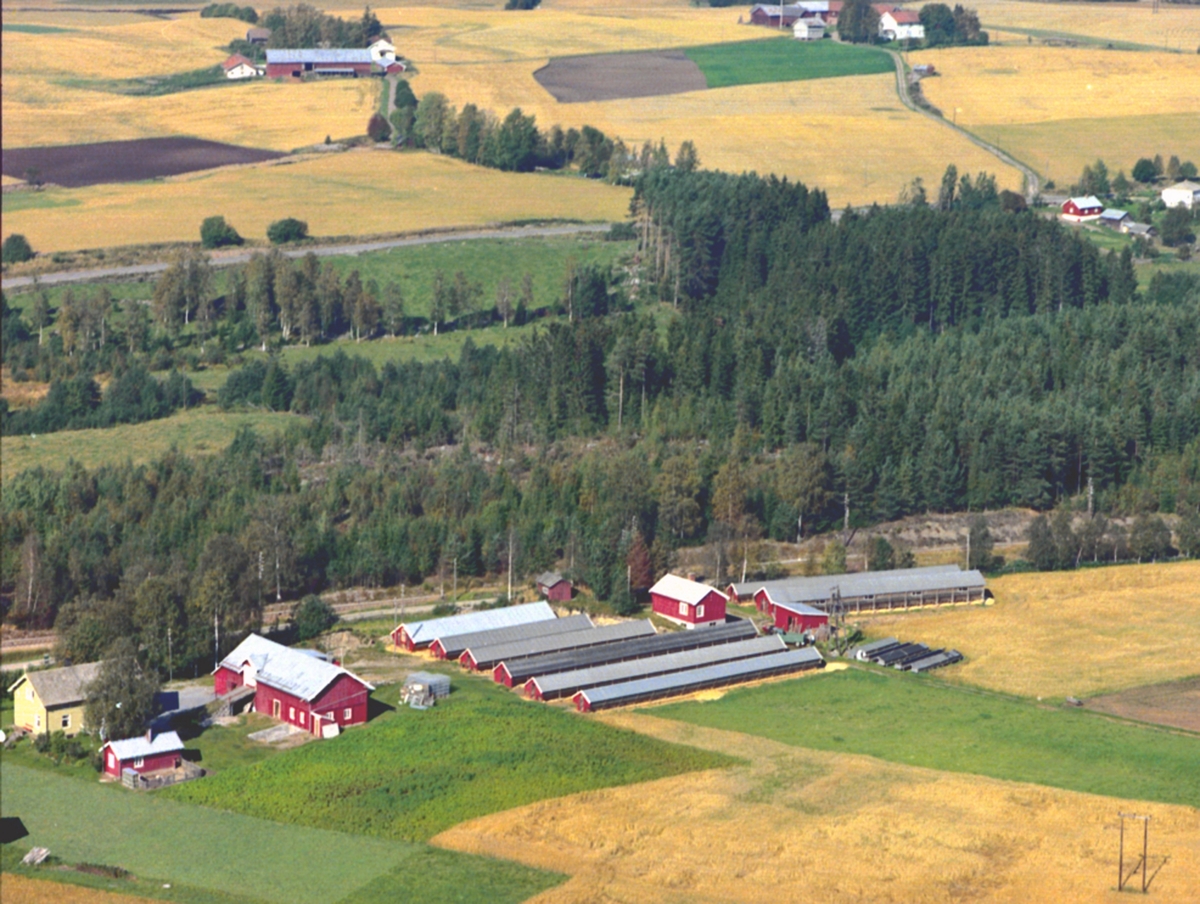 Widerøes Flyveselskap A/S, FLYFOTO MYRVOLD GARD. PELSDYRFARM