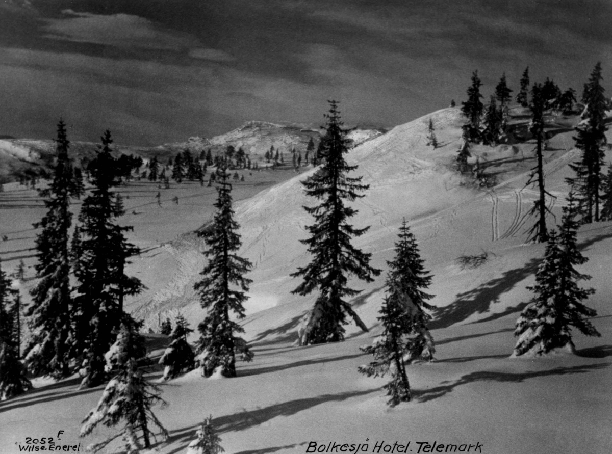 Anders Beer Wilse, Ved Bolkesjø Turisthotell, Notodden, Telemark. Vinterlandskap.