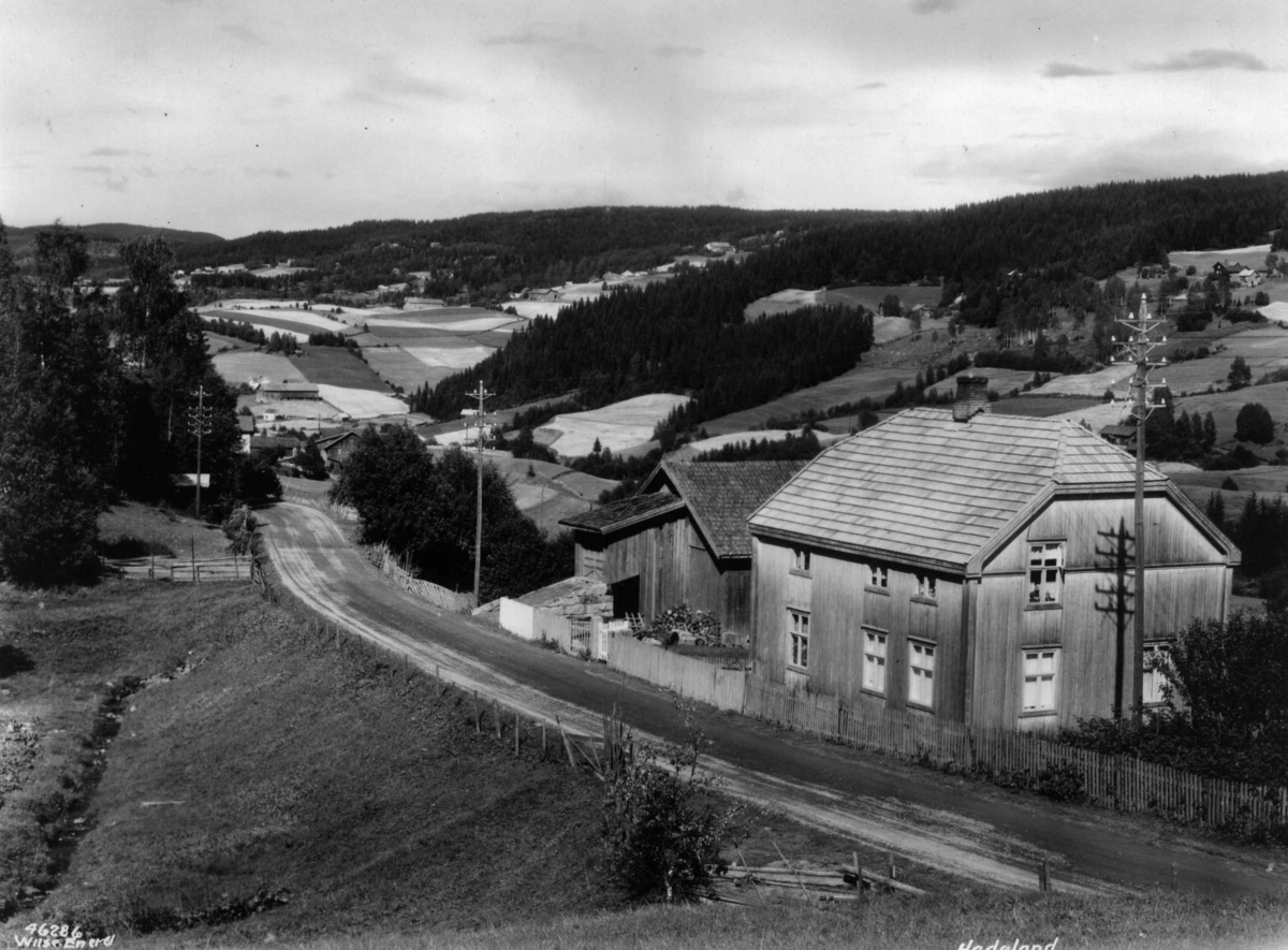 Anders Beer Wilse, Ved Roa Hadeland