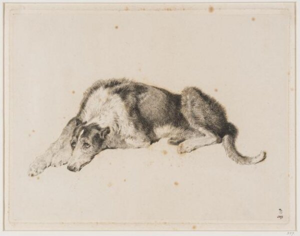 Edwin Landseer, A Deer Hound