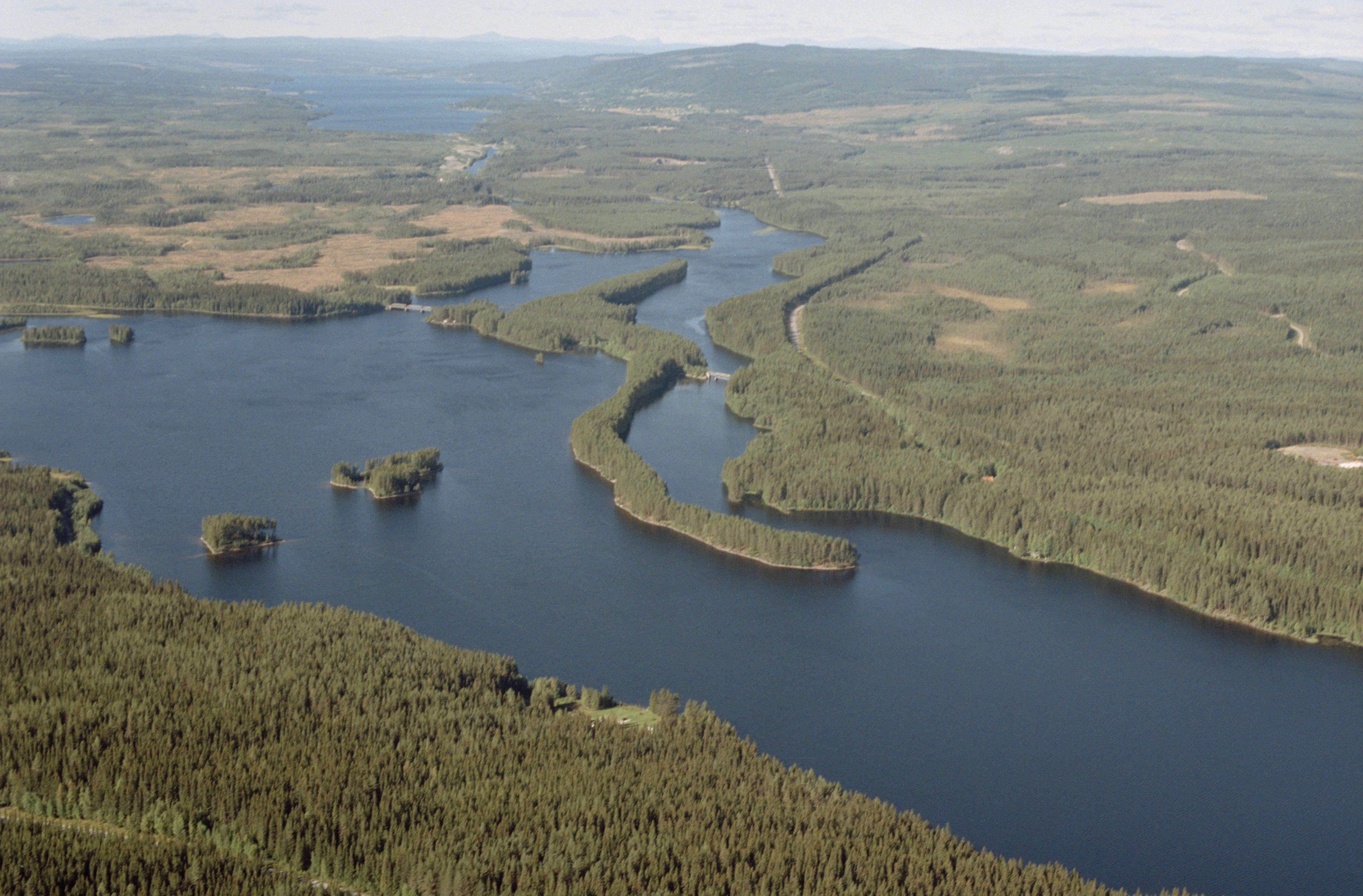 Jan Norrman, Tåsjö 182:1