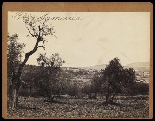 Francis Frith, Photograph