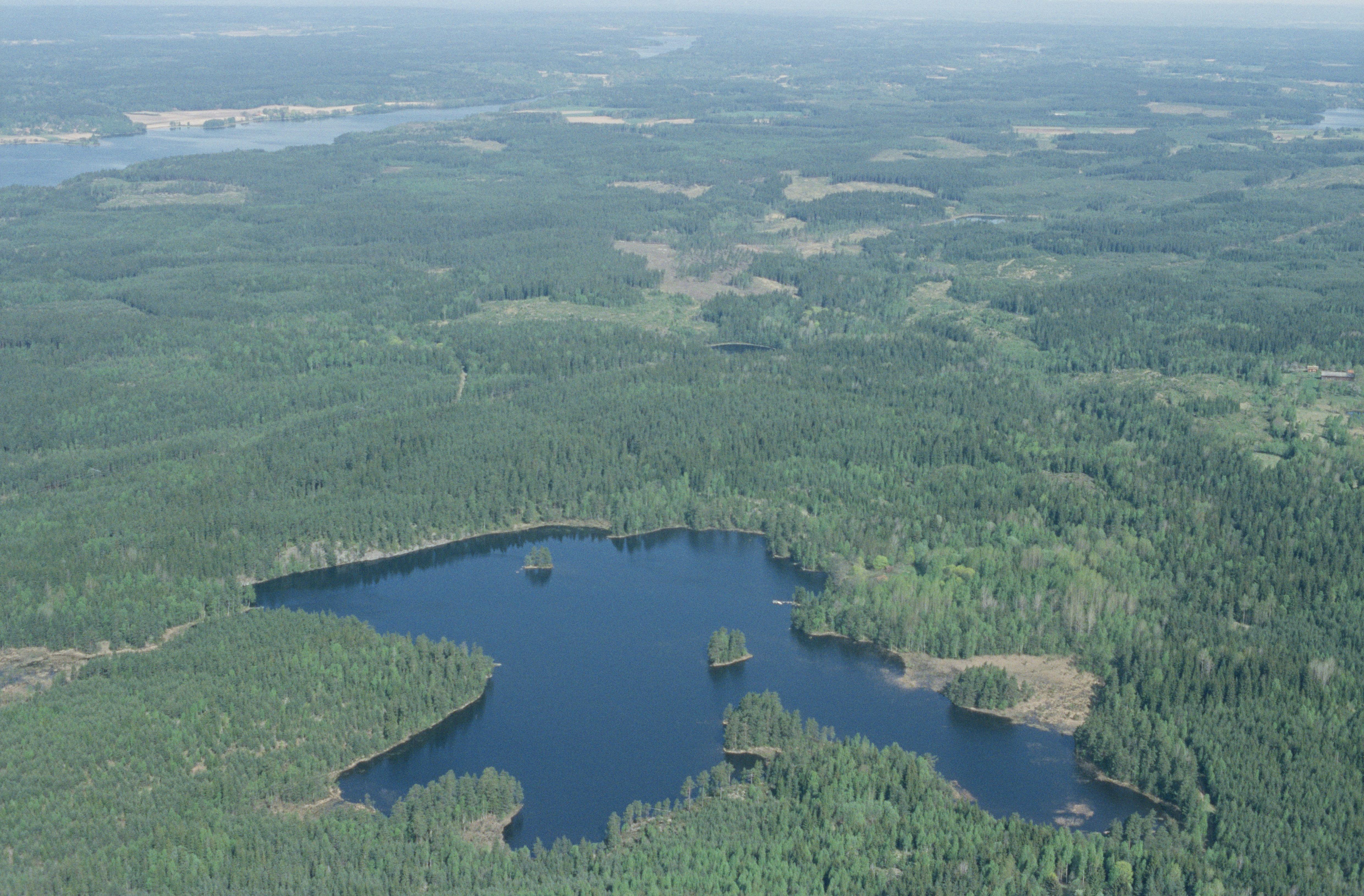 Jan Norrman, Hammar 307:1