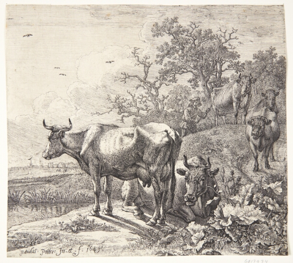 Paulus Potter, Kohyrden