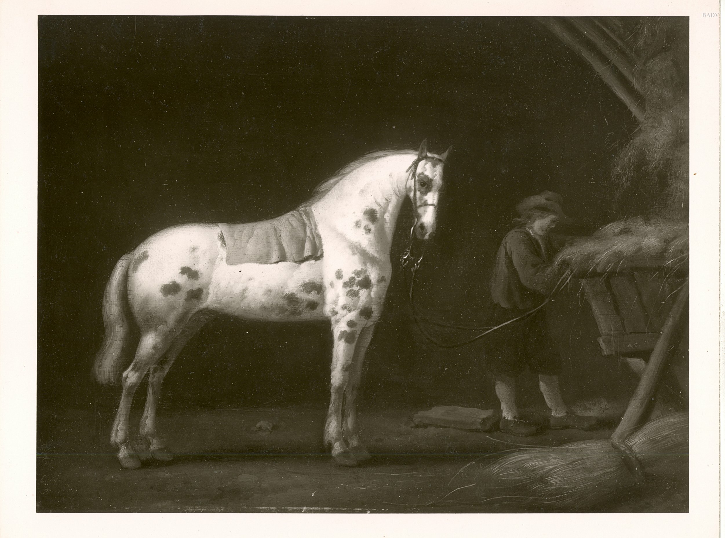 Aelbert Cuyp, a white horse in a stable