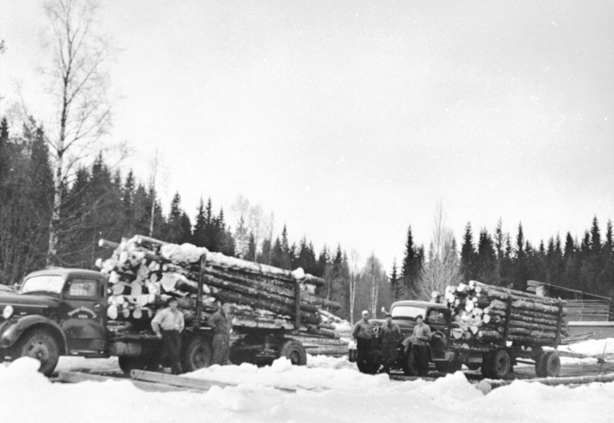 Anno Domkirkeodden, TØMMERTRANSPORT MED LASTEBILER, VINTER, STANGE ALLMENNING